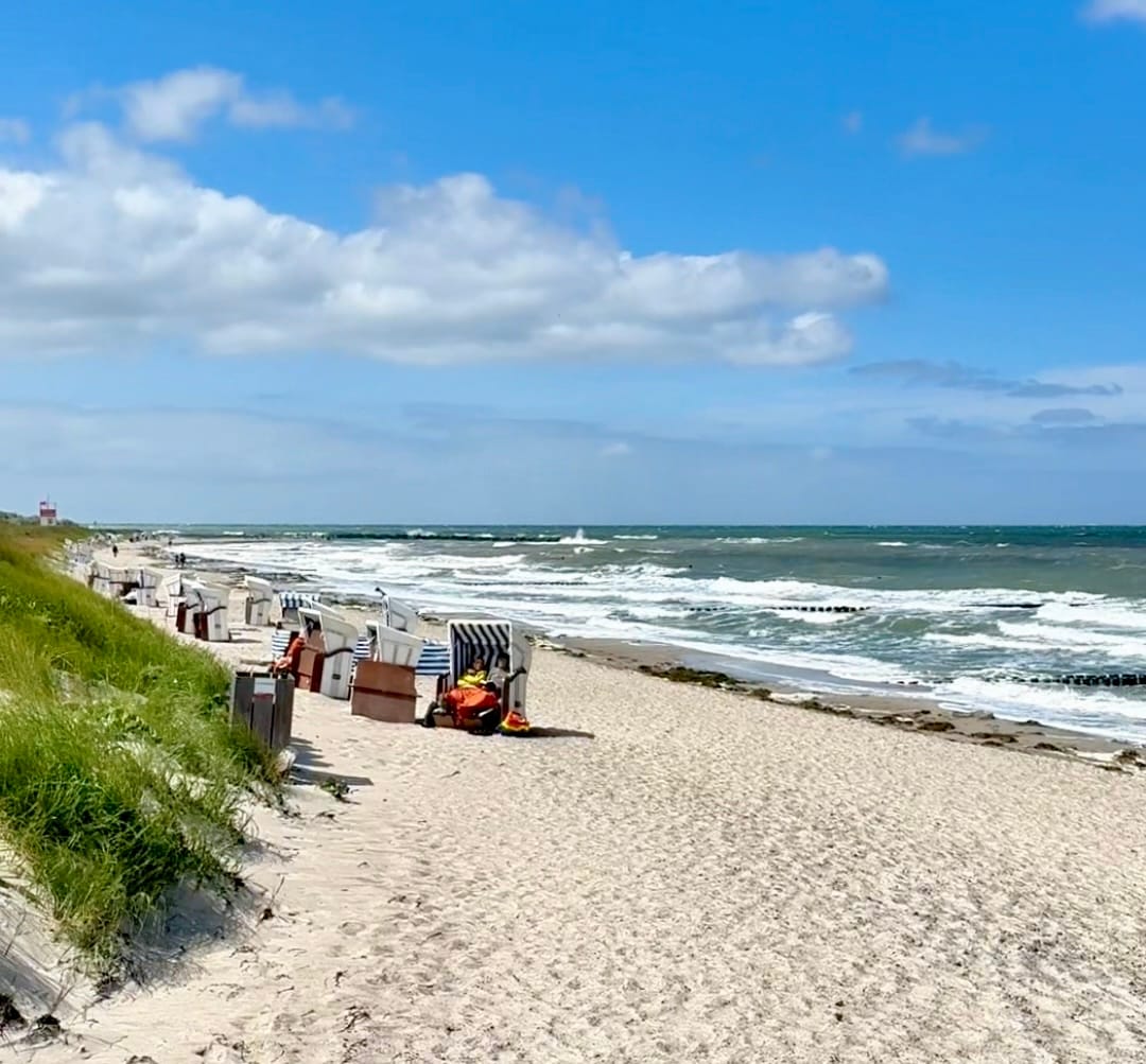 Strandkörbe am Strand