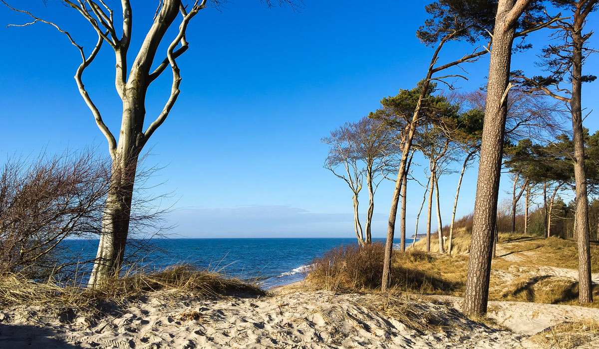 Strandurlaub an der Ostsee | Meerfischland